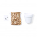 Vaso de terracota com sementes de cacto e adesivo de amizade para presentear