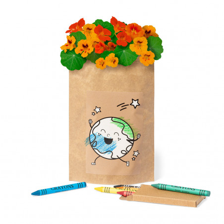 Vaso para colorir com sementes e caixa de giz personalizada para detalhe infantil