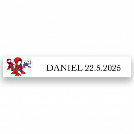 Adesivo do Spidey e sua Super Equipe 5x1cm personalizado