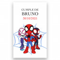 Adesivo spidey e sua super equipe 3x5cm personalizável