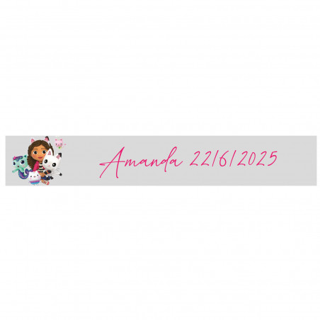 Adesivo gabby gato 5x1 retangular fundo transparente personalizável