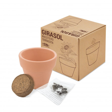 Vaso de terracota sementes