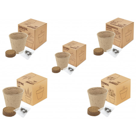 Vaso bio sementes