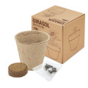 Vaso bio sementes