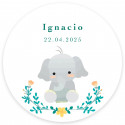 Espelho personalizado com caixinha de elefante ideal para lembranças de batizado chá de bebê ou nascimento