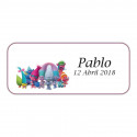 Trolls detalhes personalizados crianças bolsa piñata com detalhes
