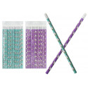 Frozen pacote de presente papelaria com pintalenguas