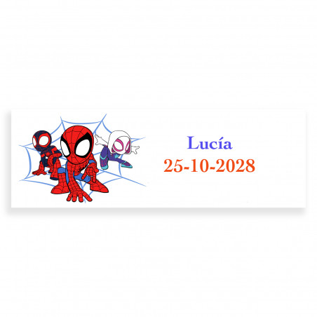 Spidey e sua super equipe etiqueta adesiva 6x2cm personalizada para eventos infantis