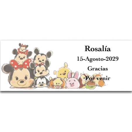 Pandilla da Disney, adesivo personalizado com fundo branco 13x5cm horizontal