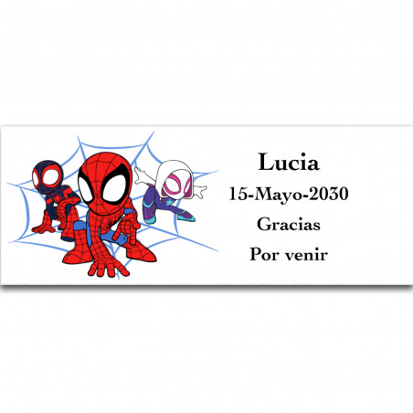 Spidey e sua Superequipe adesiva personalizada ousada 13x5cm