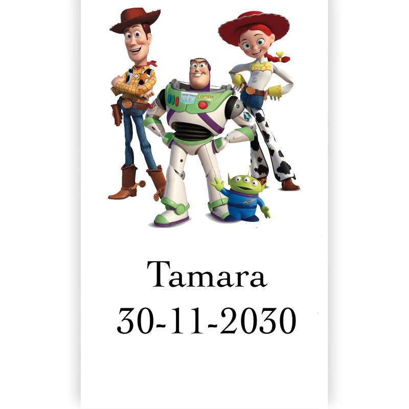 Toy story adesivo personalizado 5x3cm nomes e data