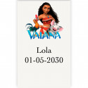 Vaiana moana adesivo personalizado vertical transparente de 3x5cm