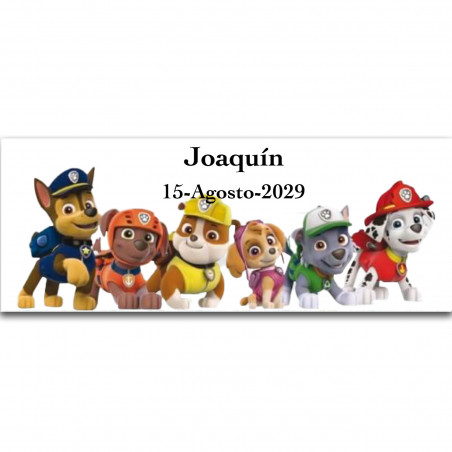 Patrulha canina pacote de presente infantil com atividades educativas e divertidas