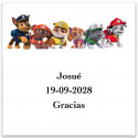 Bolsa personalizada da patrulha canina com acessórios de pirata