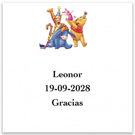 Winnie the pooh conjunto de pintura e brinquedos para presentear