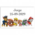 Patrulha Canina set para colorir pompero yoyo e guloseimas