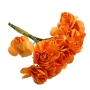 Flor laranja pequena