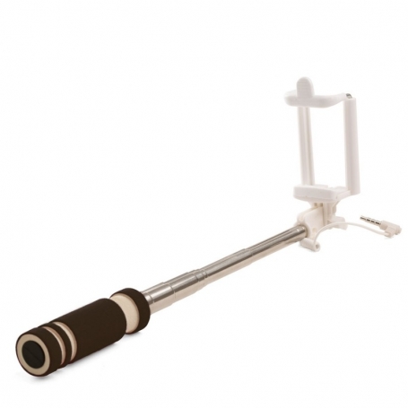 Pau de selfie econômico