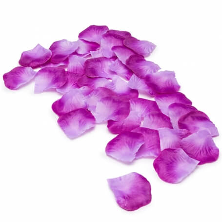 Pétalas De Casamento Fúcsia
